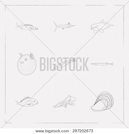 Set Of Seafood Icons Line Style Symbols With Mussel, Puffer Fish, Saury And Other Icons For Your Web