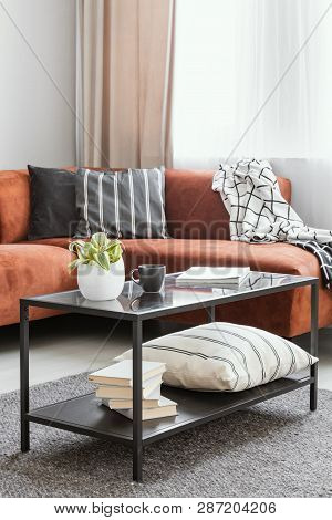 Book, Pillow, Plant And Coffee Mug On Table In Front Of Brown Velvet Sofa With Pillows And Blanket