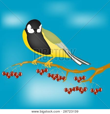 Piccolo uccello su ramo con Berry