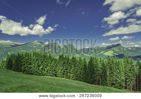 Forests And Mountains In The Kleinwalsertal, Austria.
