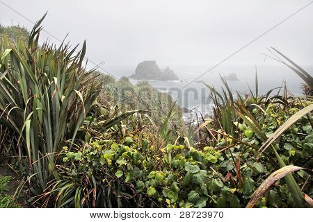 KÃ¼ste in der NÃ¤he von Cape Foulwind im Nebel