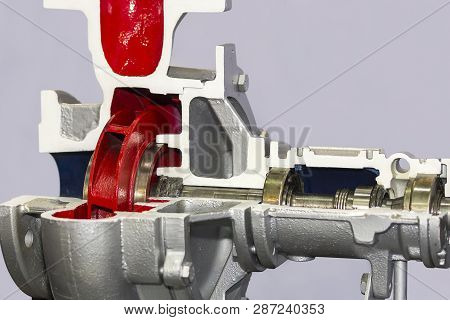 Close Up Cross Section Detail Inside Impeller Centrifugal High Pressure Pump For Industrial
