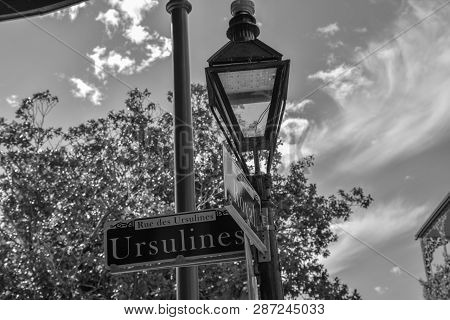 Street Signs In New Orleans (usa)