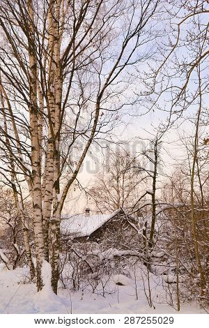 Winter Landscape With A House And Birches