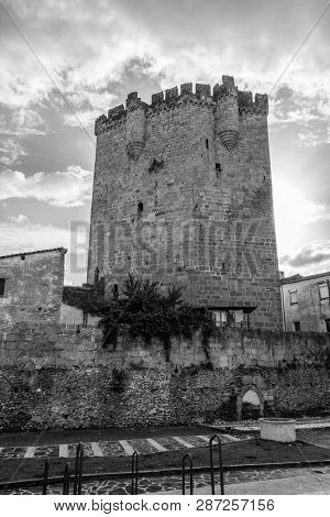 The Castle Of Coria (spain)
