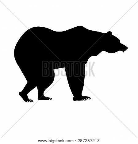 Silhouette Of Bear. Black Animal On White Background Design Element Stock Vector Illustration For We