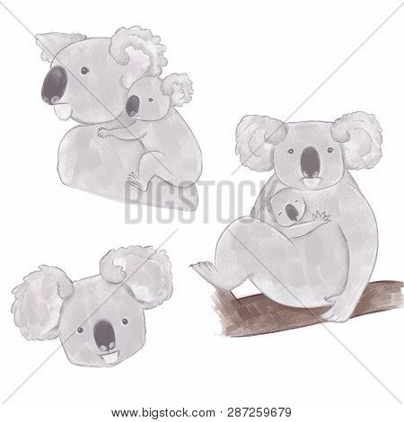 Australian Animal Funniest Koala Sitting On Eucalyptus Branch. Cartoon Colorful Illustration Of Hand