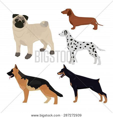 Colorful Dog Silhouette Set - Isolated Vector Illustration