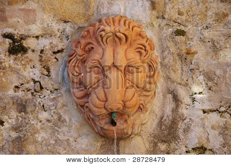 Fountain with terracotta lion's head