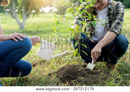 Young Man And Woman Plant A Tree