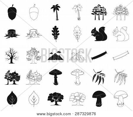 Forest And Nature Black, Outline Icons In Set Collection For Design. Forest Life Vector Symbol Stock