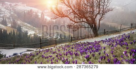 In March-april After A Winter
