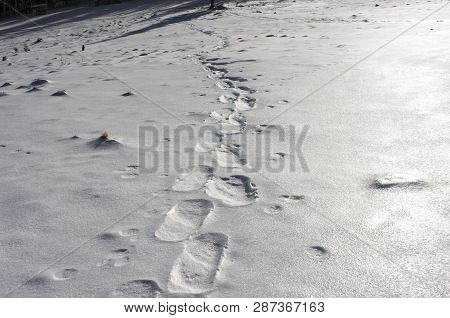 Against The Background Of Strong Frosts And Snowfalls In The Ukrainian Carpathians Form A Solid Deep