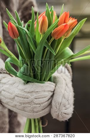 Tulips In Hand, White Gloves , Beggining Of Spring, Orange Flowers