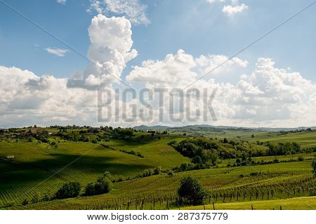 Shadows Of Clouds On Vineyard Landscape, Italian Vineyards Of Ziano Piacentino