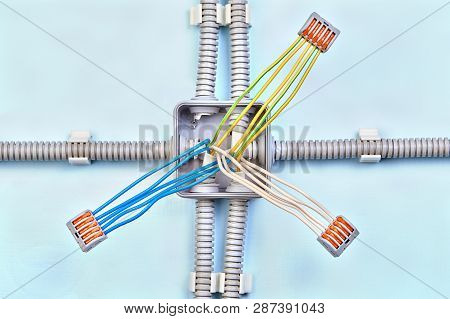 Home Junction Box Wiring With Three Groups Of Wires, Connected With Push Wire Connector.