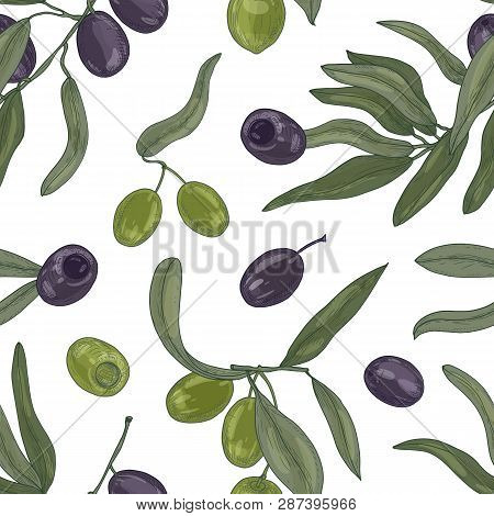 Botanical Seamless Pattern With Organic Olive Tree Branches, Leaves, Black And Green Ripe Fruits Or 
