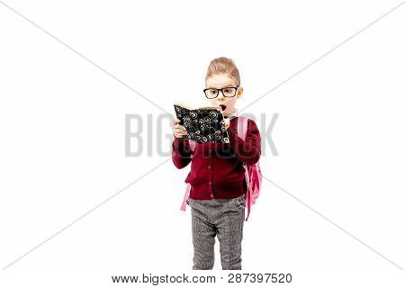 Back To School. Beautiful Little Girl Dressed Like A School Girl - In White Shirt, Red Blouse And Gr