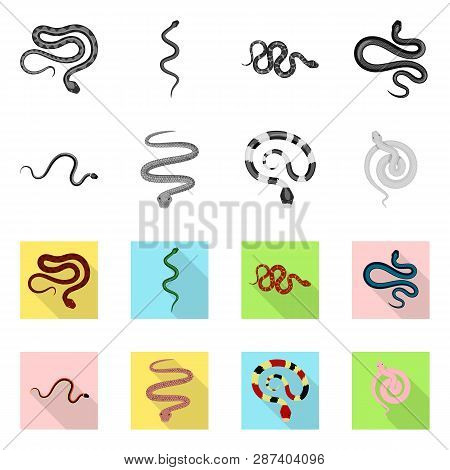 Vector Design Of Mammal And Danger Icon. Set Of Mammal And Medicine Stock Vector Illustration.