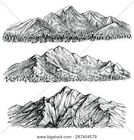 Mountains Peak Vector Hand Drawn Landscape. Ridge And Ranges With Forest Panoramic View.
