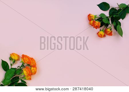 Background Of A Bouquet Of Beautiful Fresh Vivid Orange Roses Tinged With Red For Celebrating Valent
