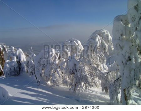 在山脉、 森林、 岩石、 森林、 天空雪冬