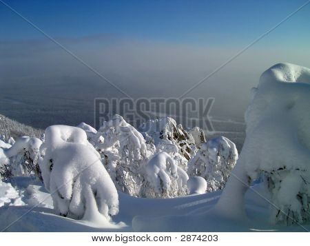 在山脉、 森林、 岩石、 森林、 天空雪冬