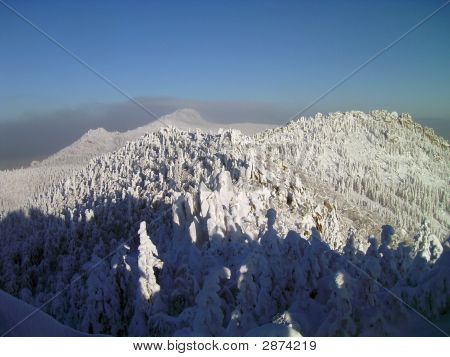 冬季在山中
