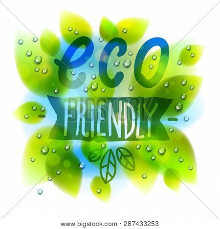 Eco Friendly Words Drawn On A Window, Fresh Green Leaves And Water Rain Drops Or Condensate Macro, V