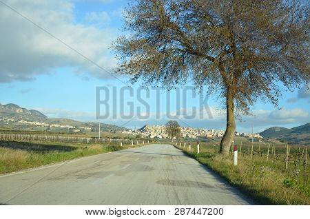 Panorama Of The Green Landscape Of Sambuca