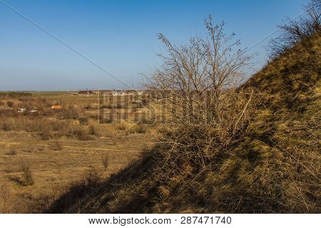 Winter Tavrian Steppe