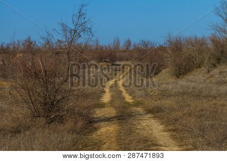 Winter Tavrian Steppe