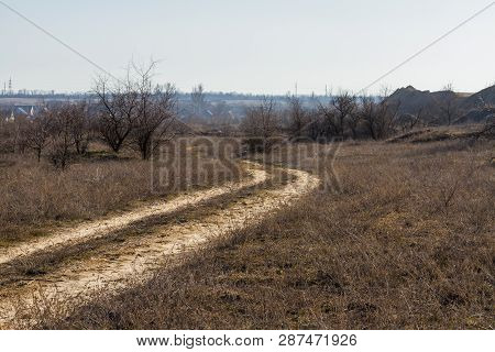 Winter Tavrian Steppe