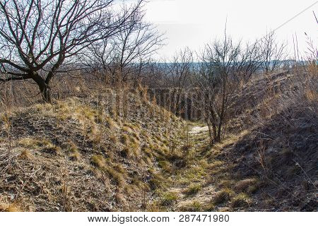 Winter Tavrian Steppe