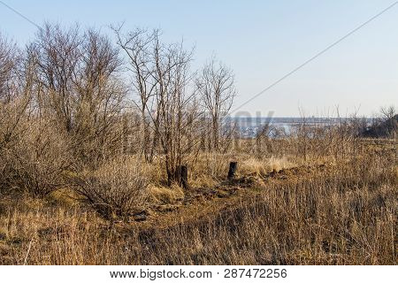 Winter Tavrian Steppe
