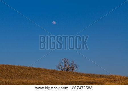 Winter Tavrian Steppe