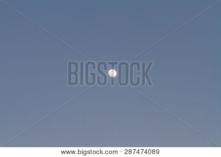 Winter Tavrian Steppe