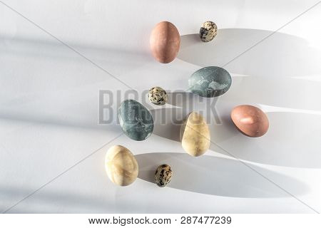 Easter Celebration Minimal Concept - Naturally Coloured Easter Eggs In Trendy Hard Direct Sunlight