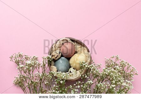 Selective Focus Of Coloured Decorated Easter Eggs In Coconut Shell, Gypsophila Flowers