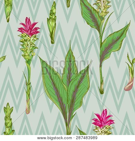 Colorful Seamless Pattern With Hand Drawn Of Turmeric Roots Lives And Flowers On Chevron Stripes Bac