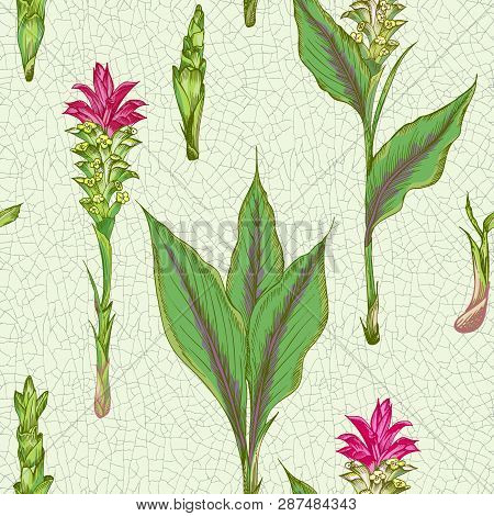 Colorful Seamless Pattern With Hand Drawn Of Turmeric Roots Lives And Flowers On Cracked Ceramic Bac