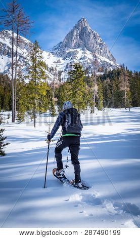 Man Snowshoeing Thruogh Forest On Snowy Plateau Kaiserau With Mountain Admonter Kalbling On A Sunny 