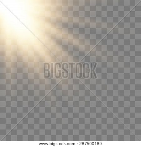 Sunlight Lens Flare Light Effect. Bright Beautiful Star. Vector Illustration Eps10