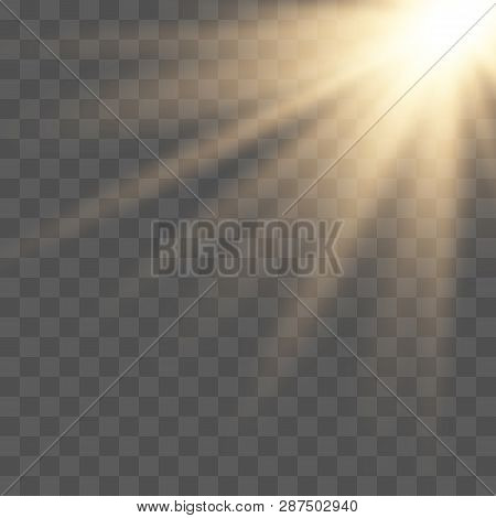 Sunlight Lens Flare Light Effect. Bright Beautiful Star. Vector Illustration Eps10