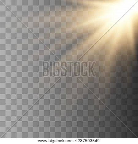 Sunlight Lens Flare Light Effect. Bright Beautiful Star. Vector Illustration Eps10