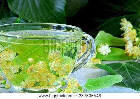 Linden And Linden Tea. Herbal Tea Made From Linden. Detox Herbal Tea. Herbal Tea In A Glass Cup.