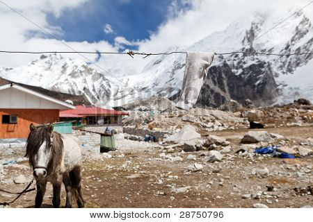 Mountain Village In Nepal