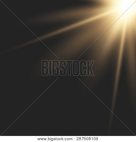 Sunlight Lens Flare Light Effect. Bright Beautiful Star. Vector Illustration Eps10