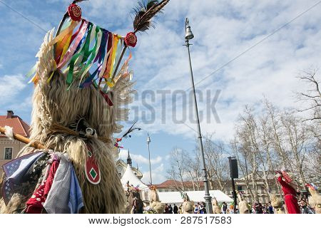 Ljubljana, Slovenia / Slovenia - February 02 2019: Carnival In Slovenia With Some Traditional Sloven