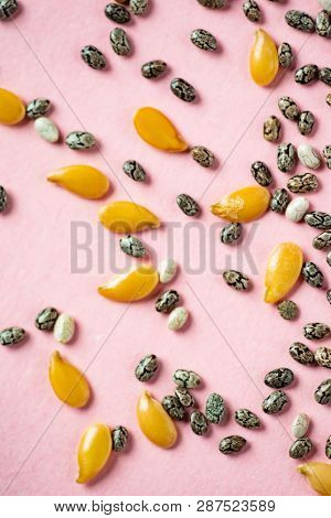 Healthy superfood:  flax seeds, chia seeds and hemp shelled seed on pink background